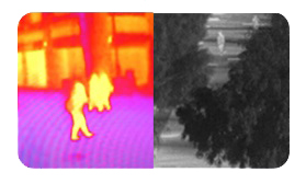 LWIR визуализация