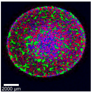 КР спектроскопия в фармацевтике
