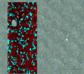 Кр спектроскопия для обнаружения микроорганизмов