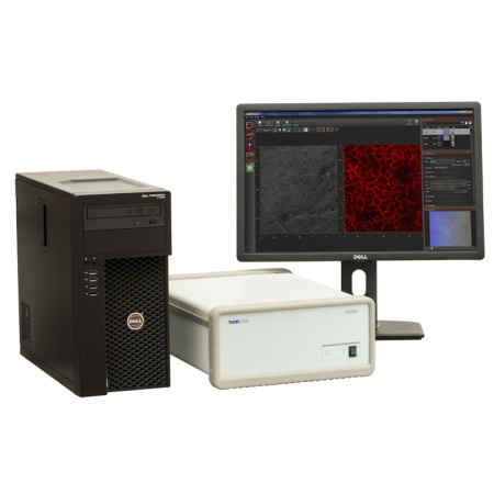 TEL310 - Базовый ОКТ модуль Telesto, рабочая длина волны: 1325 нм, A-scan: 10 до 146 кГц, разрешение: 12 мкм, комплектующие: суперлюминесцентный диод, сканирующая электроника, спектрометр на линейной  InGaAs матрице, SDK, компьютер с ПО, Thorlabs