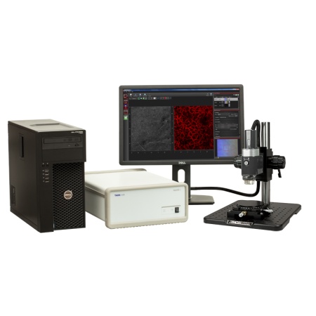 TEL220C1 - Спектральный ОКТ, длина волны: 1300 нм, разрешение: 5.5 мкм, A-скан: 5.5 - 76 кГц: базовый модуль, сканирующая система, оптическая система с линзой и адаптер, стенд, транслятор, Thorlabs